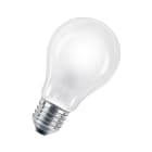 BAILEY - ECO AGL A55 E27 240V 42W Matt