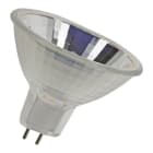 BAILEY - EWF GX5.3 24V 200W 50hrs 13630