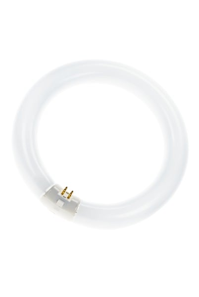 OSRAM - LUMILUX© T9 C G10Q 22W 827