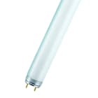 OSRAM - LUMILUX© T8 G13 36W 840