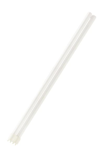 PHILIPS - MASTER PL-L 4P 2G11 40W 840
