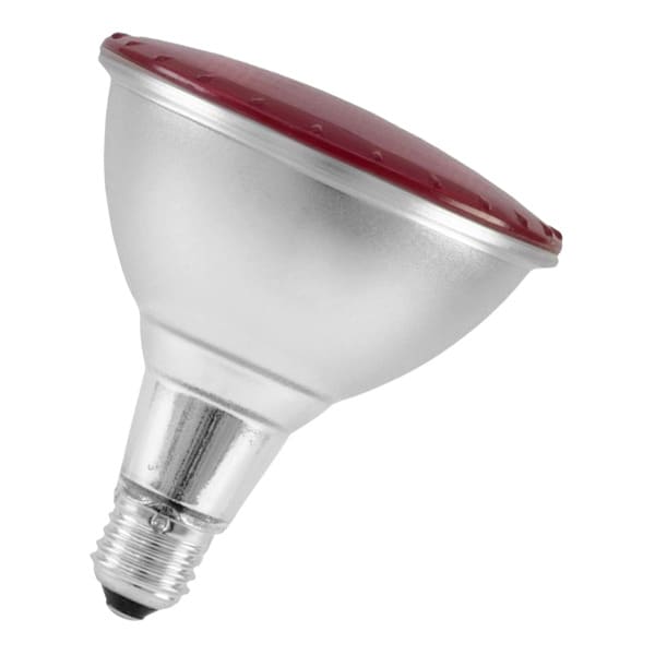 BAILEY - LED PAR38 E27 100V-240V 15W Rot