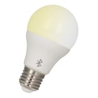 BAILEY - LED Bluetooth A60 E27 9W 800lm 2700-6500K Tunable