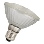 BAILEY - LED Spot PAR30 Glas E27 10W (75W) 720lm 830 50D 100V-240V