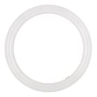 BAILEY - LED Ecobasic Circular G10q 16W (32W) 1600lm 840