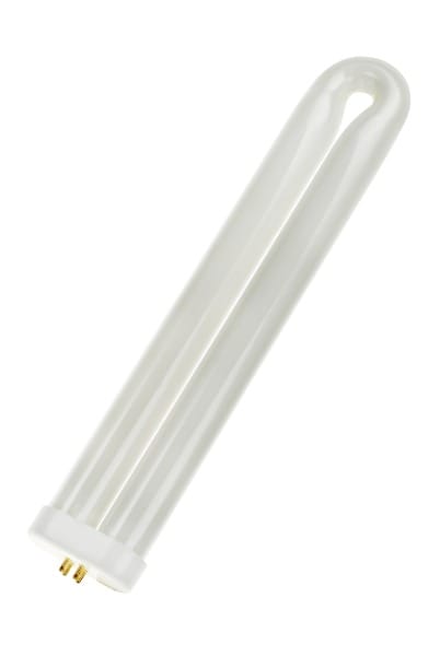 BAILEY - U-Shaped 4P 40W T8 55x300 UV Actinic/Schwarzlicht