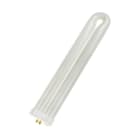 BAILEY - U-Shaped 4P 40W T8 55x300 UV Actinic/Schwarzlicht