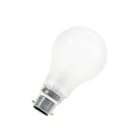 BAILEY - AGL B22d A60 130V 100W Matt