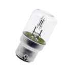 BAILEY - B22d T27X60 Neon Glas Klar 220V