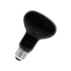 BAILEY - E27 R80 240V 75W BLB Schwarzlicht