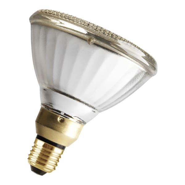 BAILEY - PAR38 E27 240V 80W Flood