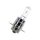 BAILEY - P30s 11X54 12V 35W C-8 Halogen