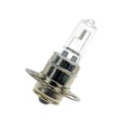 BAILEY - P30s 11X54 12V 75W C-8 Halogen