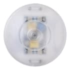 BAILEY - Tradim 64310 LED Bodendimmer 2-100W Transparent