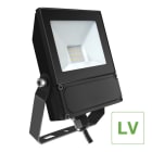 ALI - LED Flutlicht 12V-36V DC 10W 1400lm 5700K