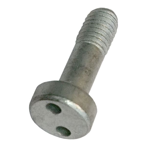 ALI - Screw M5 316 Pig nose socket