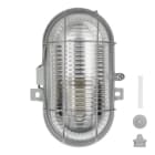 ALI - Ovalleuchte RoBust E27 Oval L Grau IP44 Max 100W