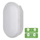 ALI - LED Ovalleuchte Switch 4.5W-7.5W 420-750lm 830-840 Grau