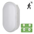 BAILEY - LED Ovalleuchte Switch Sensor 6.2W-8W 550-800lm 830-840