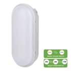BAILEY - LED Ovalleuchte Switch 6W-9W-15W 570-1500lm 830-840 Oval
