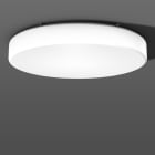RZB - WD/D-L.LED/12x7,4W-4000K D1040,dim.DALI