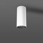RZB - DL-A,LED/29W-2700K,Ra92 D87,R.breit