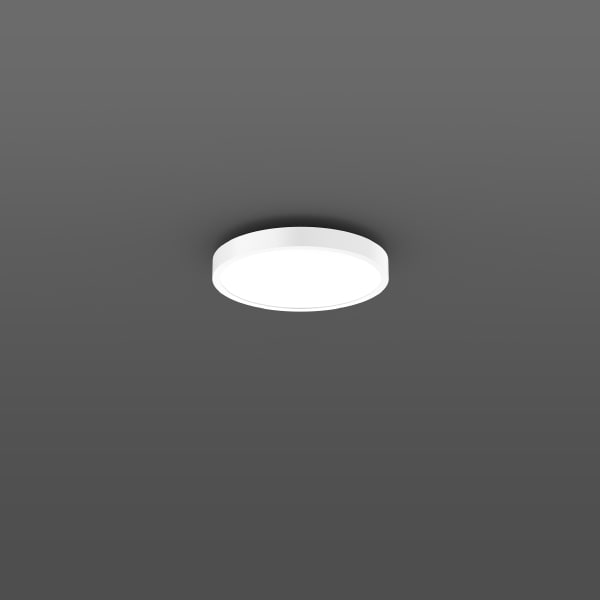 RZB - WD/D-L.LED/29W-2700-6500K D461,H88,s+f