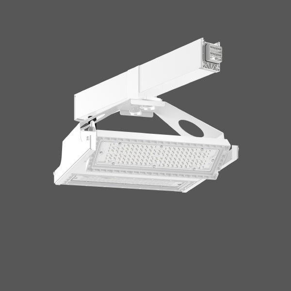 RZB - Linedo.Anbindung LightCase,598,14pol