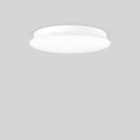 RZB - NL-WD/D-L.LED/16/29W,D480,1/3/8h,BwmDALI