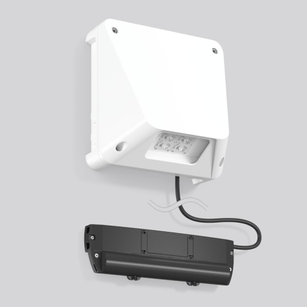 RZB - Notleuchte Wandleuchte Surano LED/10W 202x12