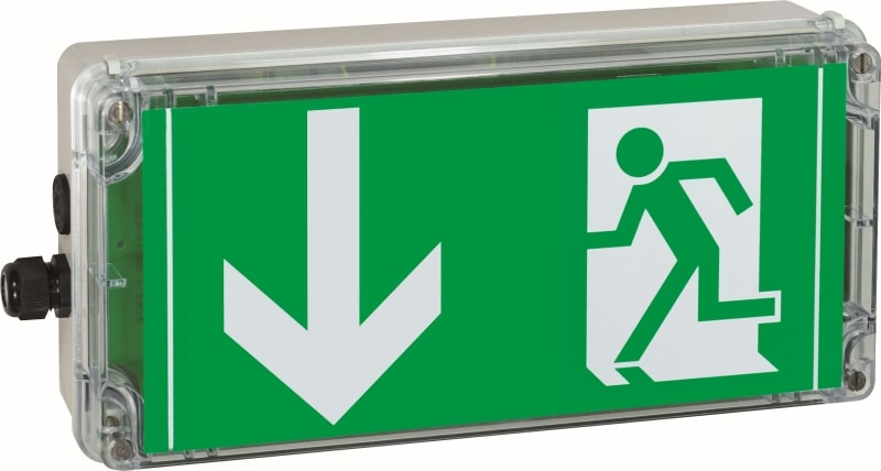 CEAG - CEAG RZ-Leuchte EXIT 6h (DIN 4844), 1 x M20, Kunststoff