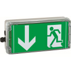 CEAG - CEAG RZ-Leuchte EXIT 6h (DIN 4844), 1 x M20, Kunststoff