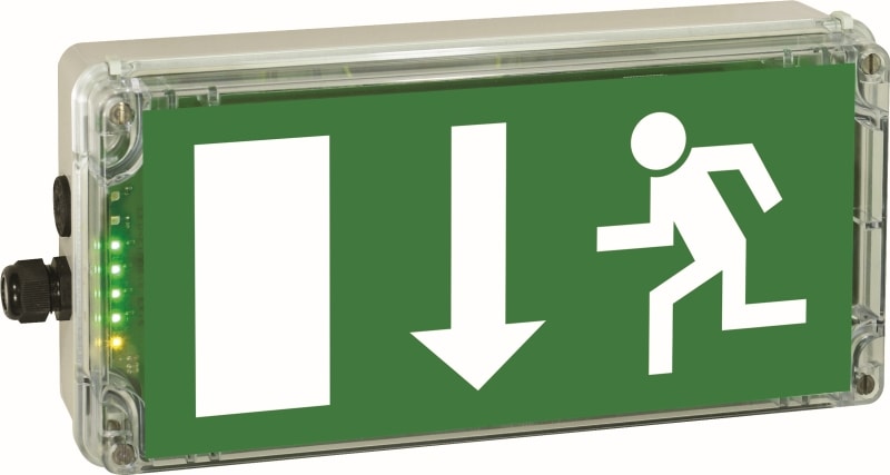 CEAG - CEAG RZ-Leuchte EXIT 6h (DIN 4844), 1 x M20, Kunststoff