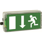 CEAG - CEAG RZ-Leuchte EXIT 6h (DIN 4844), 1 x M20, Kunststoff