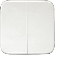 ELTAKO - Doppelwippe lasergraviert für Funktaster 55x55mm für Busch Reflex und Duro