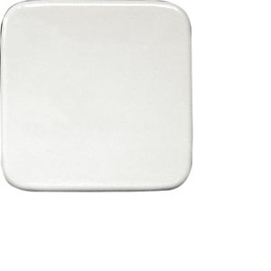 ELTAKO - Wippe für Funktaster 55x55mm für Busch Reflex und Duro