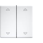 ELTAKO - Doppelwippen lasergraviert für Taster und Schalter 55er Design