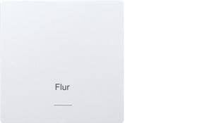 ELTAKO - Wippe für Funktaster im E-Design55 ungraviert