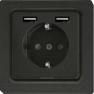 ELTAKO - Schutzkontakt-Steckdose im E-Design55 mit 2xUSB-A, anthrazit matt