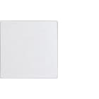 ELTAKO - Funk-2-Kanal-Bluetooth-Taster mitWippe, 55 x 55 mm, ohne Rahmen, reinweiß glänzend