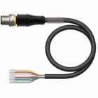 TURCK - Aktuator- und Sensorleitung / PUR, Anschlussleitung