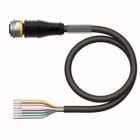 TURCK - Aktuator- und Sensorleitung / PUR, Anschlussleitung