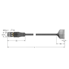 TURCK - Aktuator- und Sensorleitung / PVC, Anschlussleitung