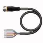 TURCK - Aktuator- und Sensorleitung / PUR, Anschlussleitung