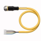 TURCK - Aktuator- und Sensorleitung / PUR, Anschlussleitung