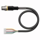 TURCK - Aktuator- und Sensorleitung / PUR, Anschlussleitung