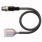 TURCK - Aktuator- und Sensorleitung / PVC, Anschlussleitung