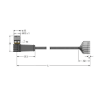 TURCK - Aktuator- und Sensorleitung / PUR, Anschlussleitung
