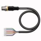 TURCK - Aktuator- und Sensorleitung / PVC, Anschlussleitung