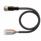 TURCK - Aktuator- und Sensorleitung / PUR, Anschlussleitung